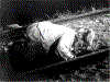 Ars3.gif (57967 bytes)