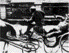 Plod3.gif (80511 bytes)