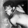 Torba5.gif (60347 bytes)