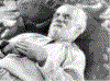 Zem2.gif (82261 bytes)