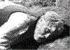 Zem3.gif (77426 bytes)