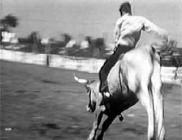 Click for large version